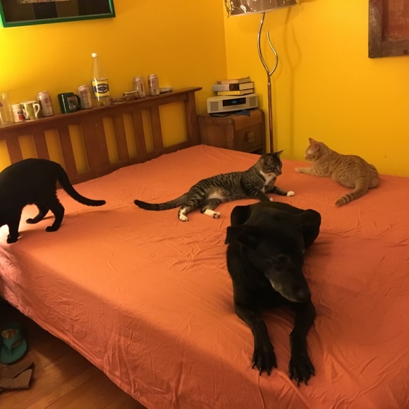 Meet your Posher, Redmontster. - Picture 11 of 15